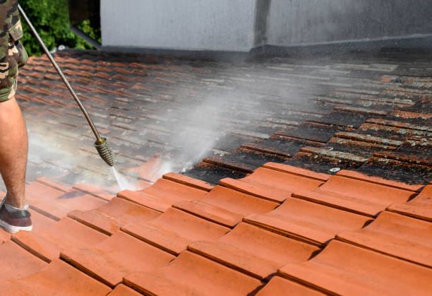 Best Pressure Washing Driveway  in Swartz, LA