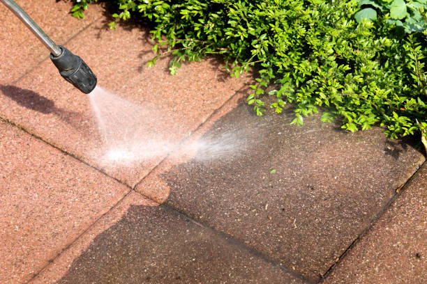 Best Residential Pressure Washing Services  in Swartz, LA
